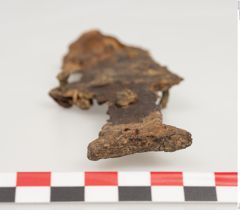 Foto von Eisenschwert (NHMW-PRAE-026040)